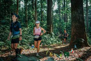 BIB: 
                            <button type="button" onclick="openModal(26129880)" class="btn btn-primary btn-sm float-right btn-popup" data-toggle="modal" data-target=".modal-high-quality">
                        <i class="fas fa-shopping-cart"></i> Add to Cart
                    </button>
                                            <button type="button" onclick="isThisMe(26129880, true)" class="btn btn-success btn-sm float-right btn-popup btn-isme hidden" data-toggle="tooltip" data-placement="bottom" title="นี่คือรูปของคุณใช่ไหม คลิกที่นี่เพื่อเอาเข้าอัลบั้ม">
                        <i class="fas fa-plus"></i> Add to album
                    </button>
                    <button type="button" onclick="isThisMe(26129880, false)" class="btn btn-warning btn-sm float-right btn-popup btn-isnotme hidden">
                        <i class="fas fa-ban"></i> Remove from album
                    </button>